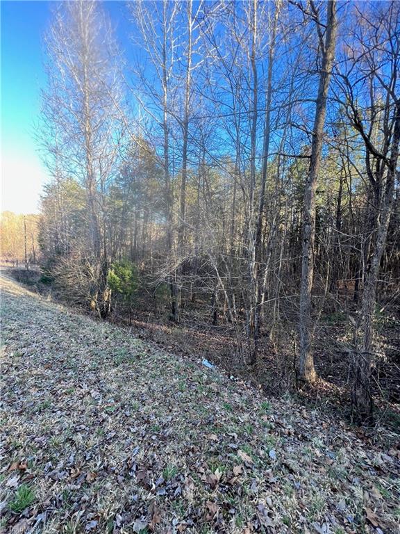 0 Barnwell Road Prospect Hill, NC 27314 - Photo 3 of 14 Gallery Image 3