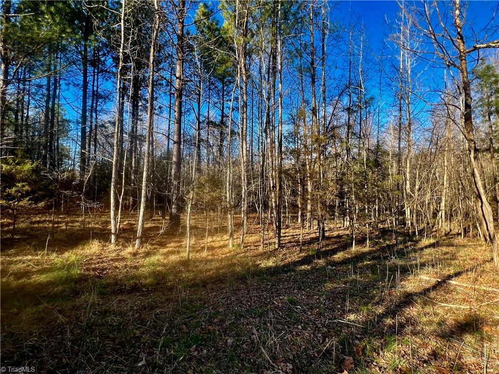 0 Barnwell Road Prospect Hill, NC 27314 - Photo 5 of 14 Gallery Image 5