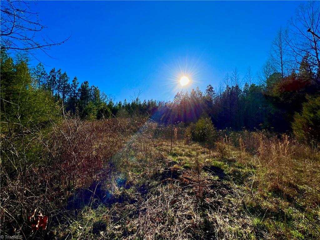 0 Barnwell Road Prospect Hill, NC 27314 - Photo 6 of 14 Gallery Image 6