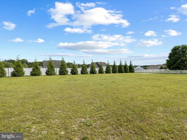 a view of a house with a yard and potted plants