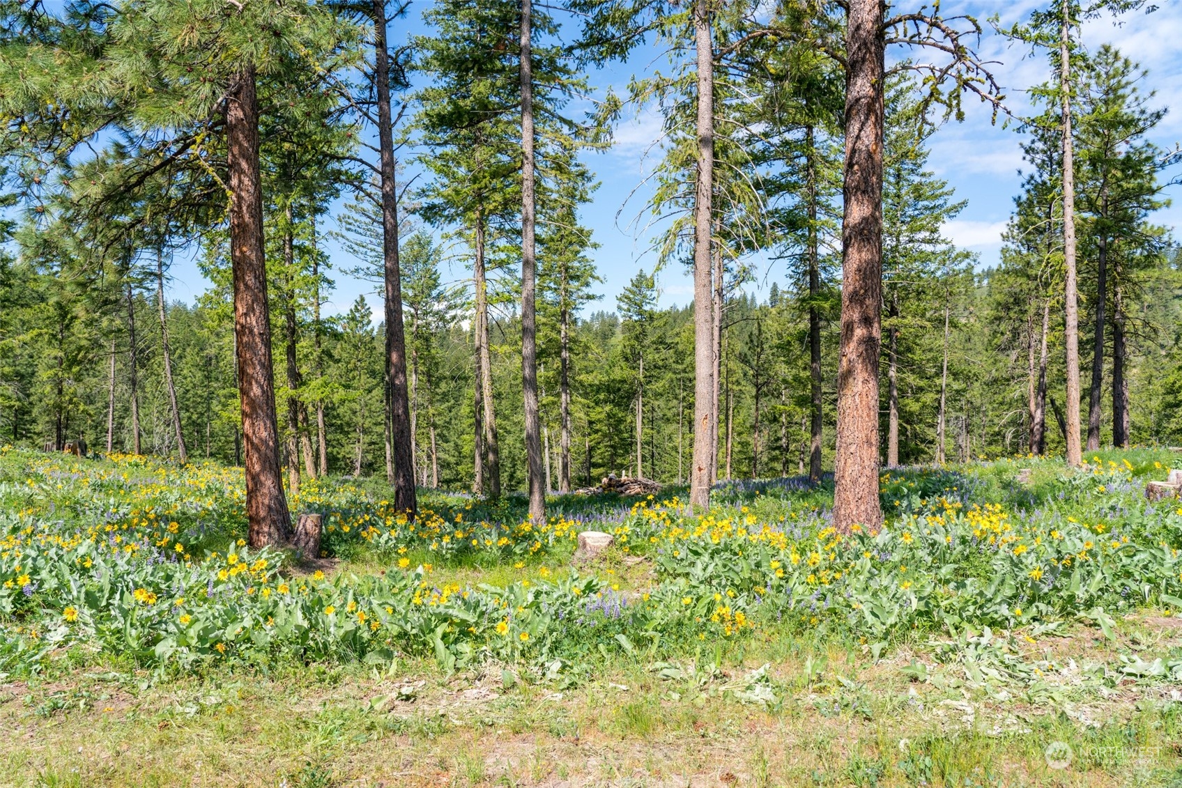 -nna Number 2 Canyon Road, Unit A Wenatchee, WA 98801 - Photo 12 of 40 Gallery Image 12