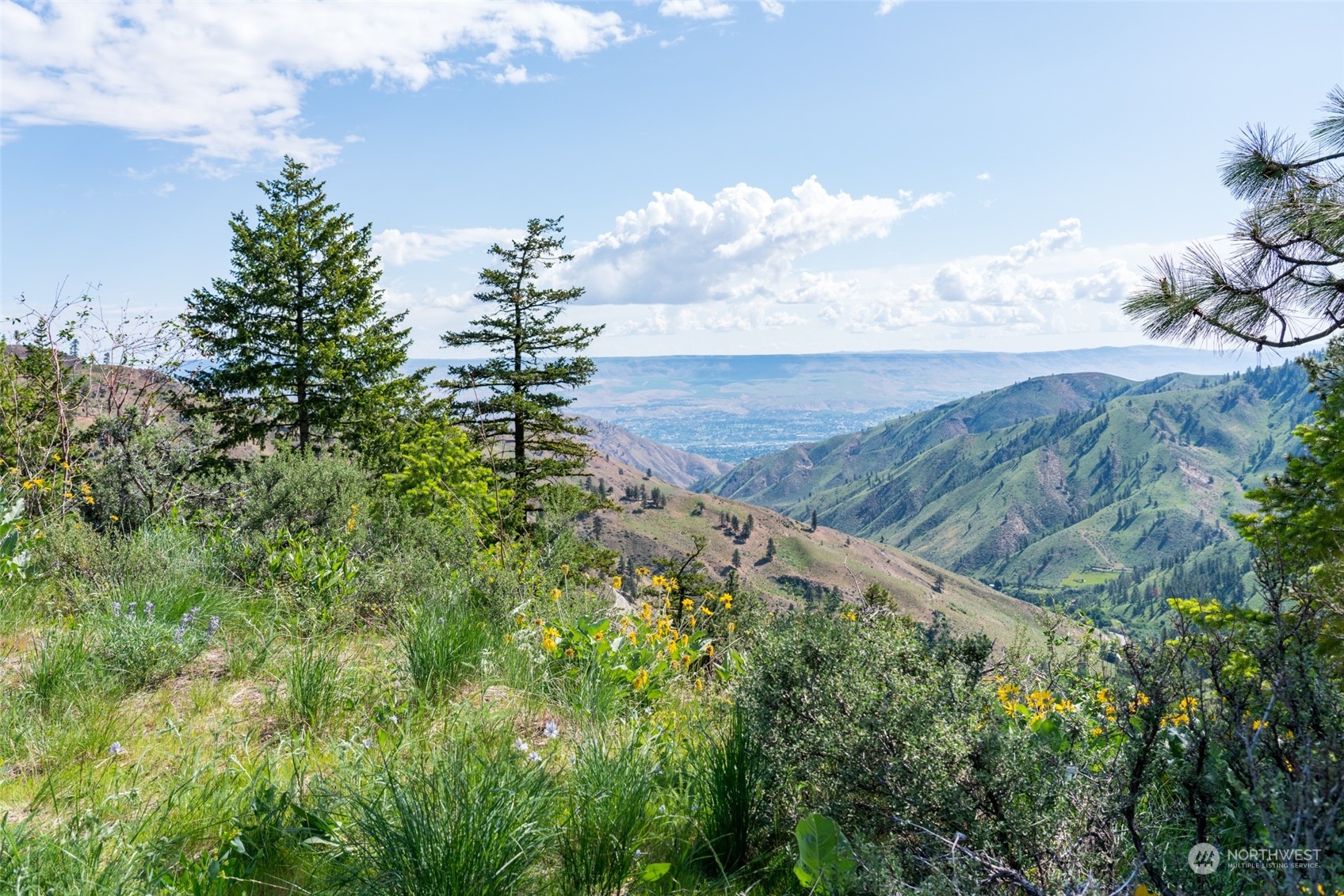 -nna Number 2 Canyon Road, Unit A Wenatchee, WA 98801 - Photo 13 of 40 Gallery Image 13