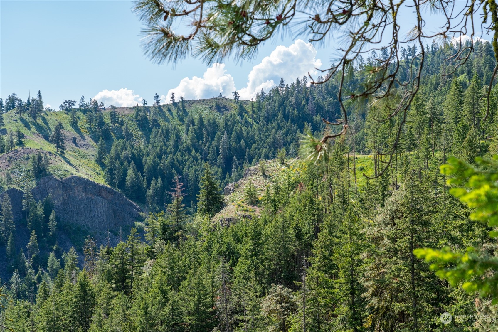 -nna Number 2 Canyon Road, Unit A Wenatchee, WA 98801 - Photo 18 of 40 Gallery Image 18