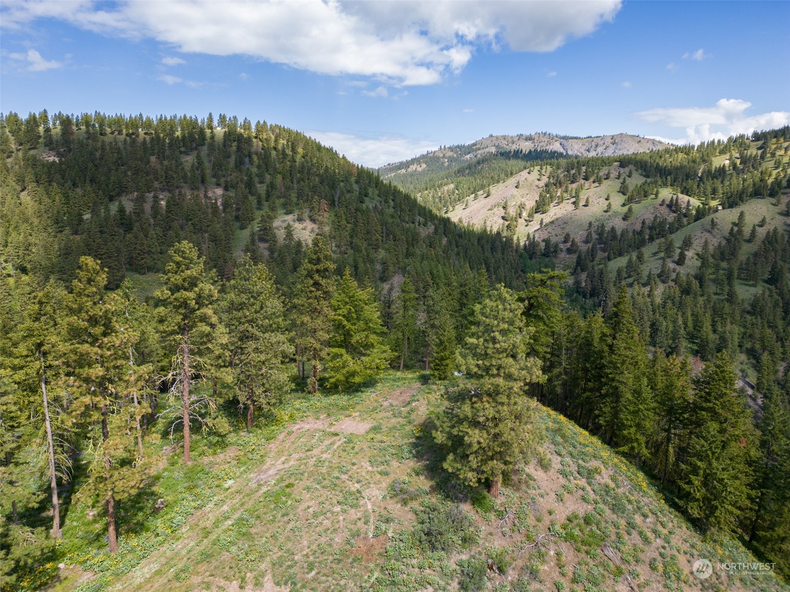 -nna Number 2 Canyon Road, Unit A Wenatchee, WA 98801 - Photo 34 of 40 Gallery Image 34