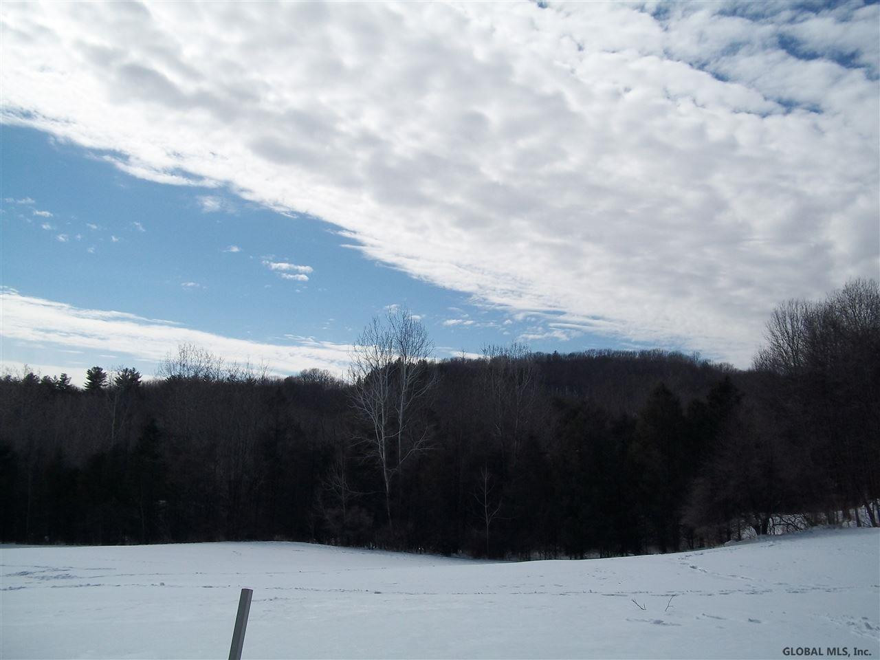 Ray Road Greenwich, NY 12834 - Photo 3 of 5 Photo 3