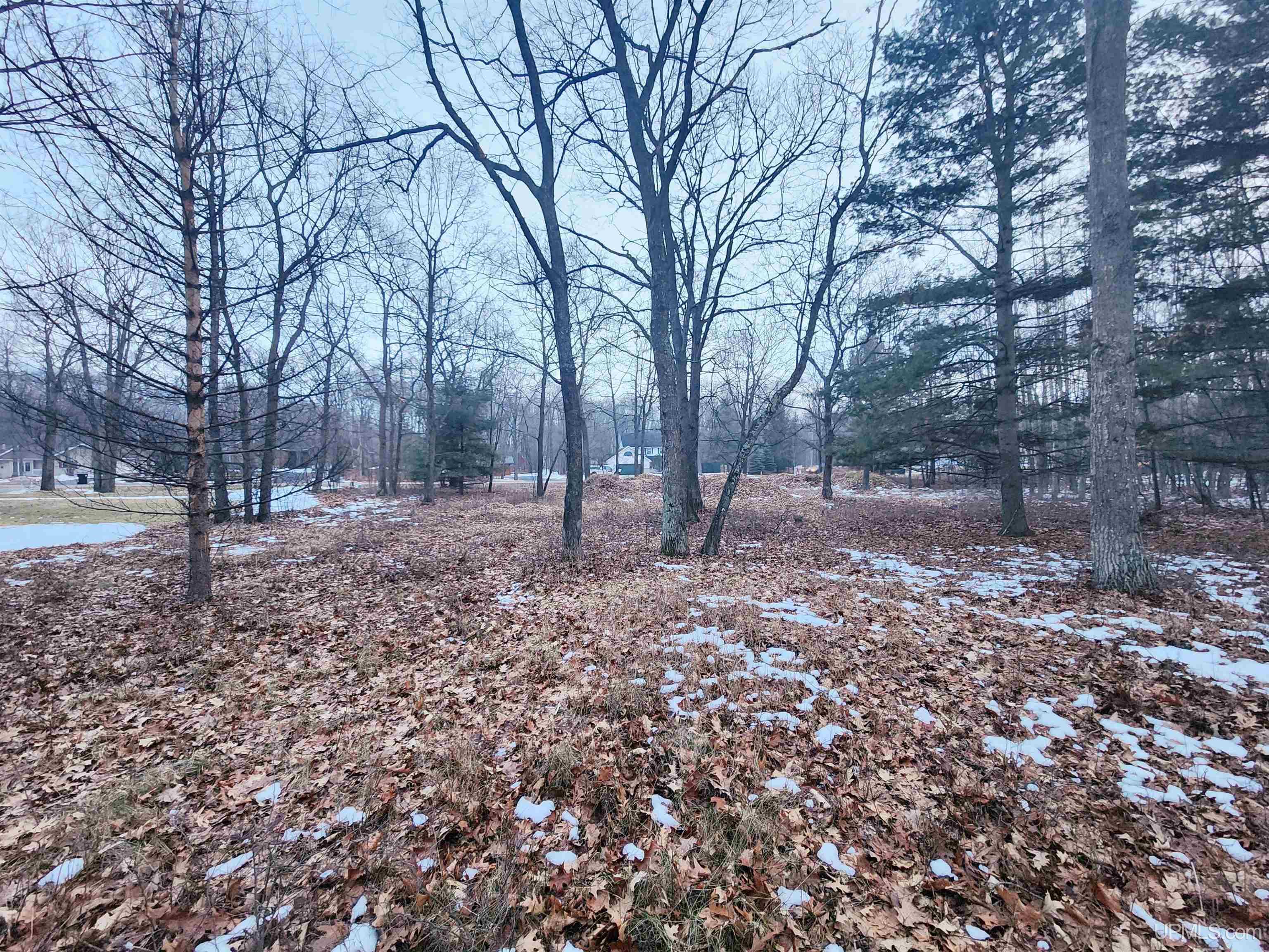 Tbd Tipperary Road Gladstone, MI 49837 - Photo 6 of 8