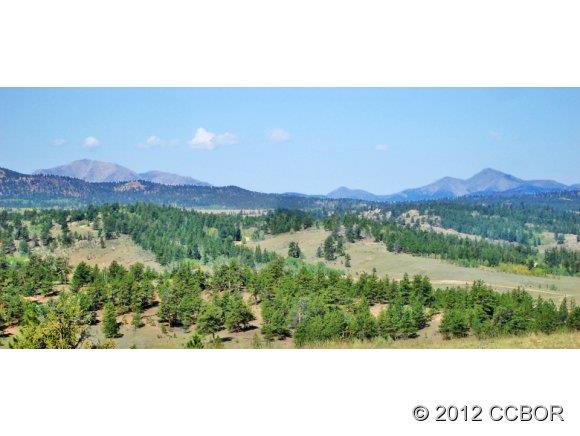 1592 Badger Creek Road Hartsel, CO 80449 - Photo 1 of 1 Gallery Image 1