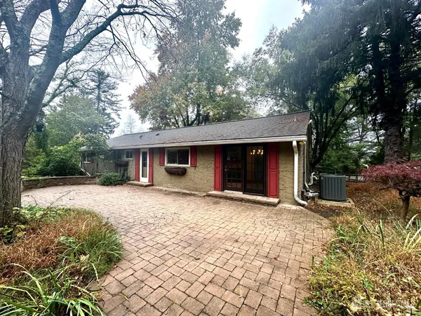 a view of a park with large trees