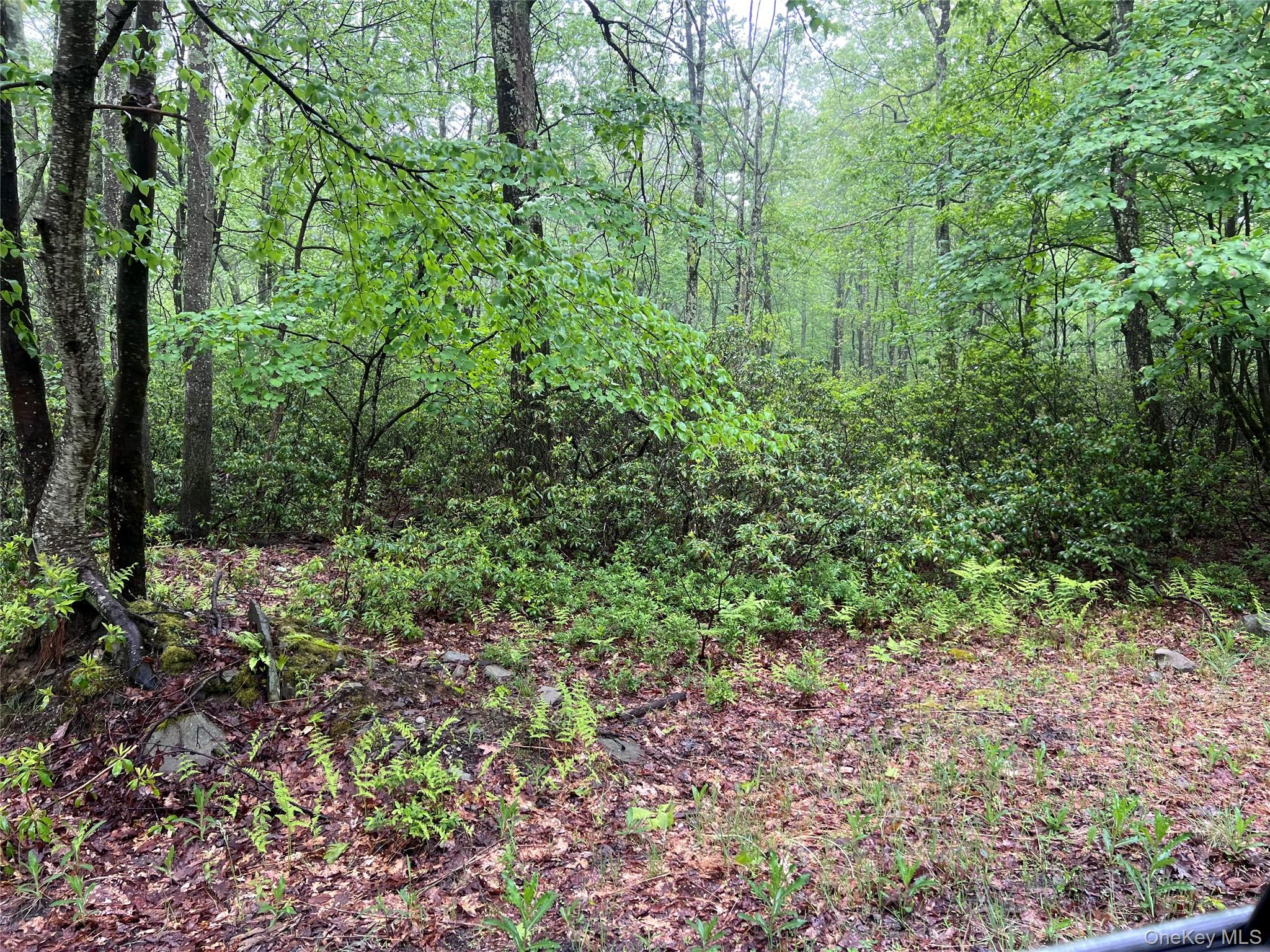 Budd Road Wurtsboro, NY 12790 - Photo 7 of 13 A family gathering destination?