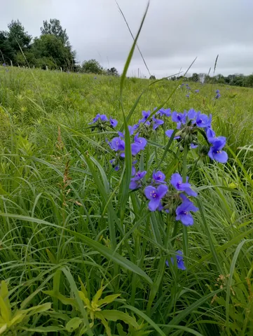 $1,599,999 | 25024 Norhardt Avenue, Wellington, WI 54651