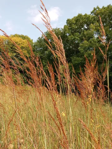 $1,599,999 | 25024 Norhardt Avenue, Wellington, WI 54651