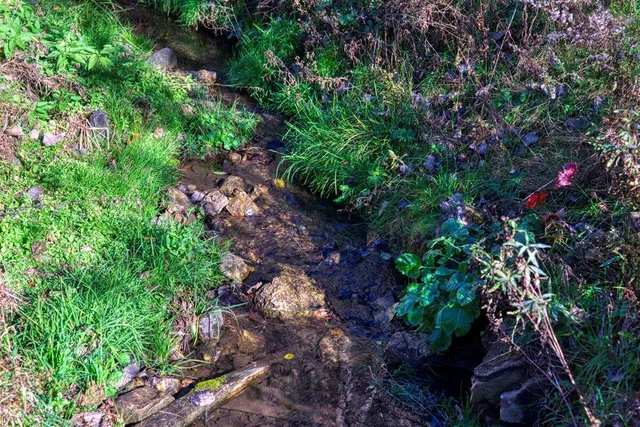 $1,599,999 | 25024 Norhardt Avenue, Wellington, WI 54651