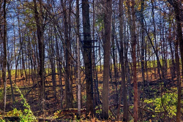 $1,599,999 | 25024 Norhardt Avenue, Wellington, WI 54651