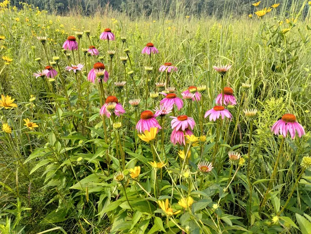 $1,599,999 | 25024 Norhardt Avenue, Wellington, WI 54651