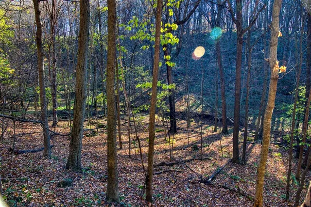 $1,599,999 | 25024 Norhardt Avenue, Wellington, WI 54651