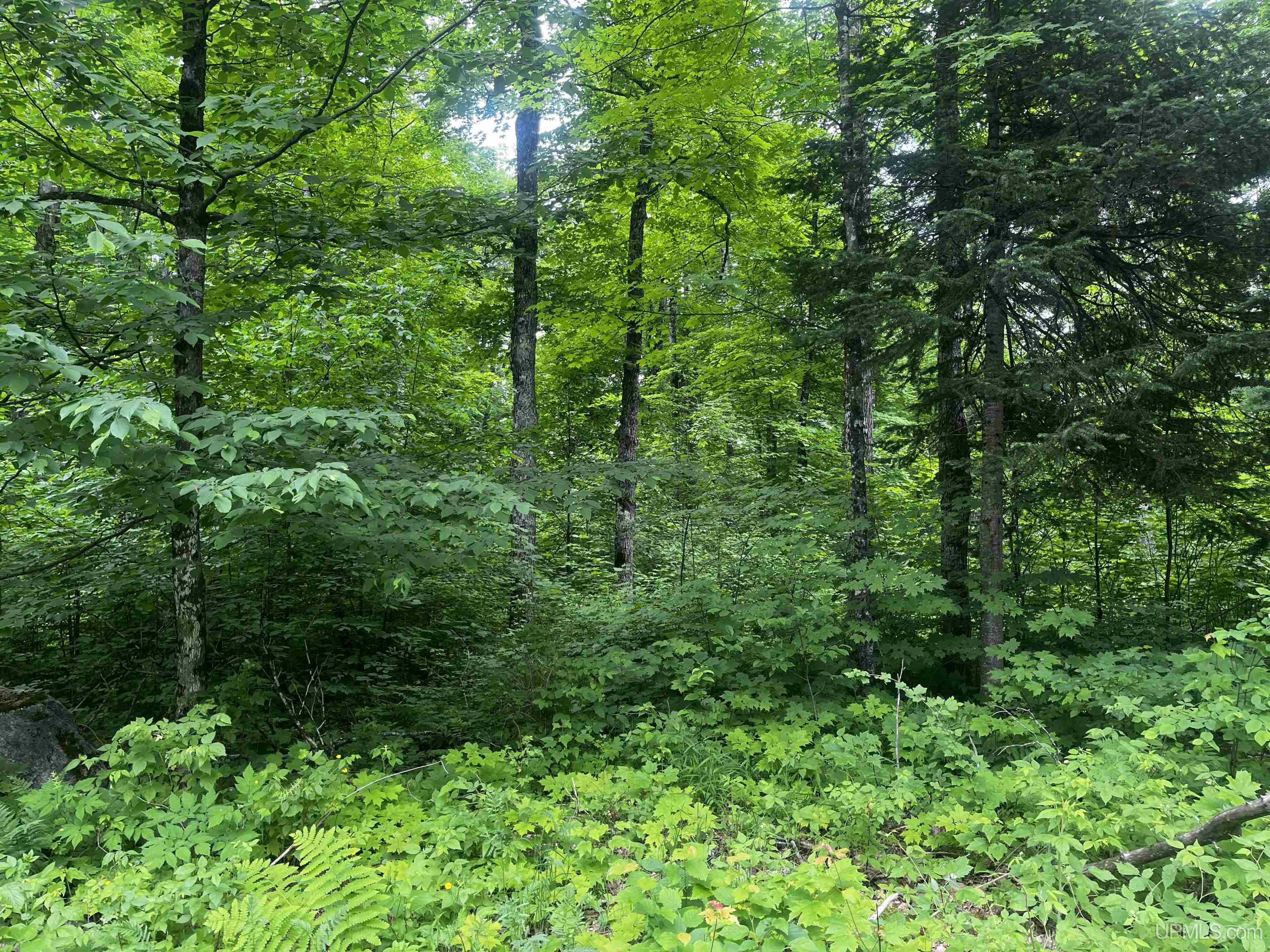 40-acres The Grade Road Crystal Falls, MI 49920 - Photo 30 of 39
