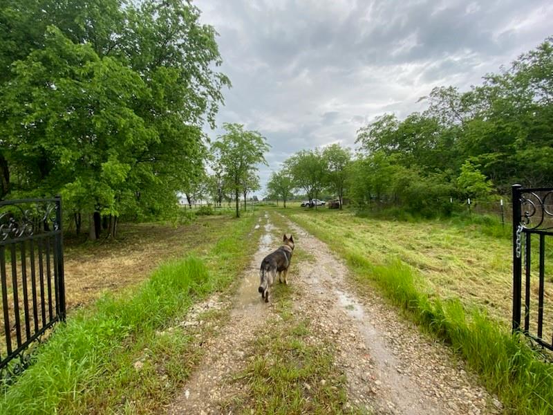 37444 State Highway 64 Wills Point, TX 75169 - Photo 2 of 6 a park with water view
