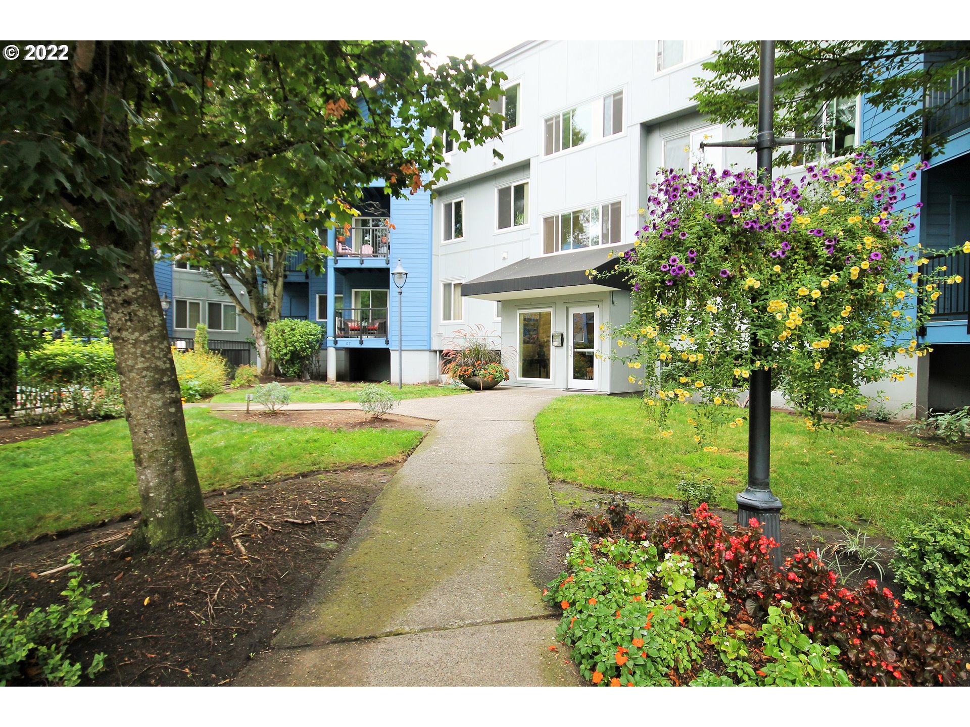 a view of a house with a garden