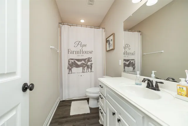 a bathroom with a sink a toilet and shower curtain
