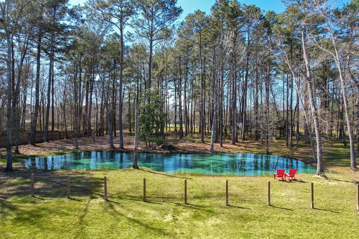 27627 Concho Drive Splendora, TX 77372 - Photo 34 of 41