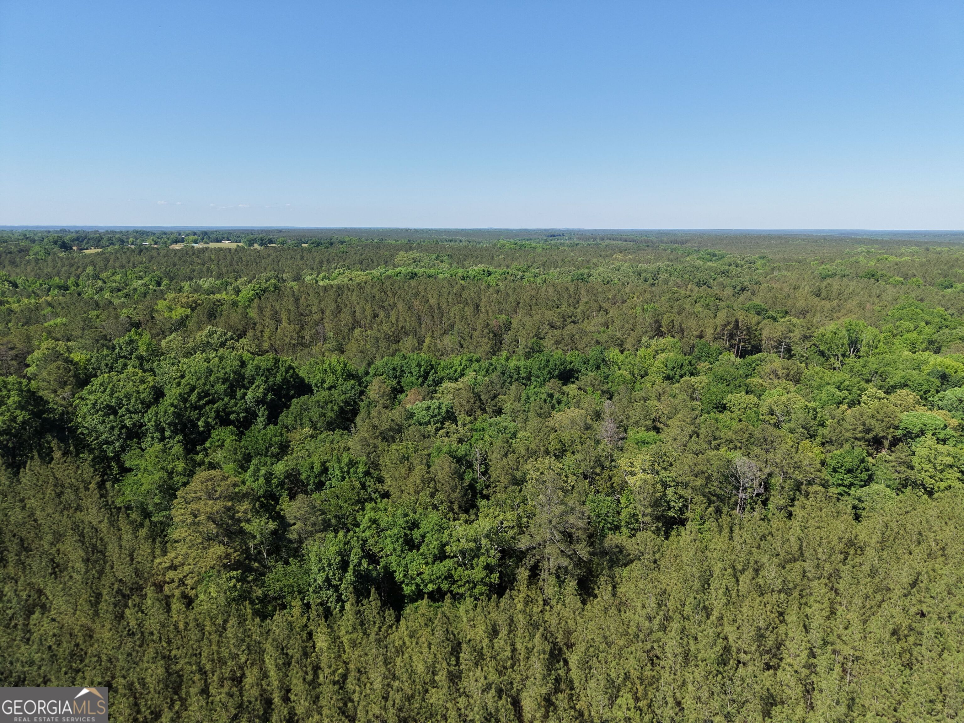 580 Saggus Road Washington, GA 30673 - Photo 15 of 54