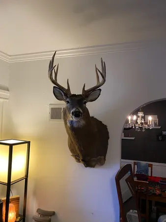 $130,000 | 10 Plum City Wi 54761, Plum City, WI 54761