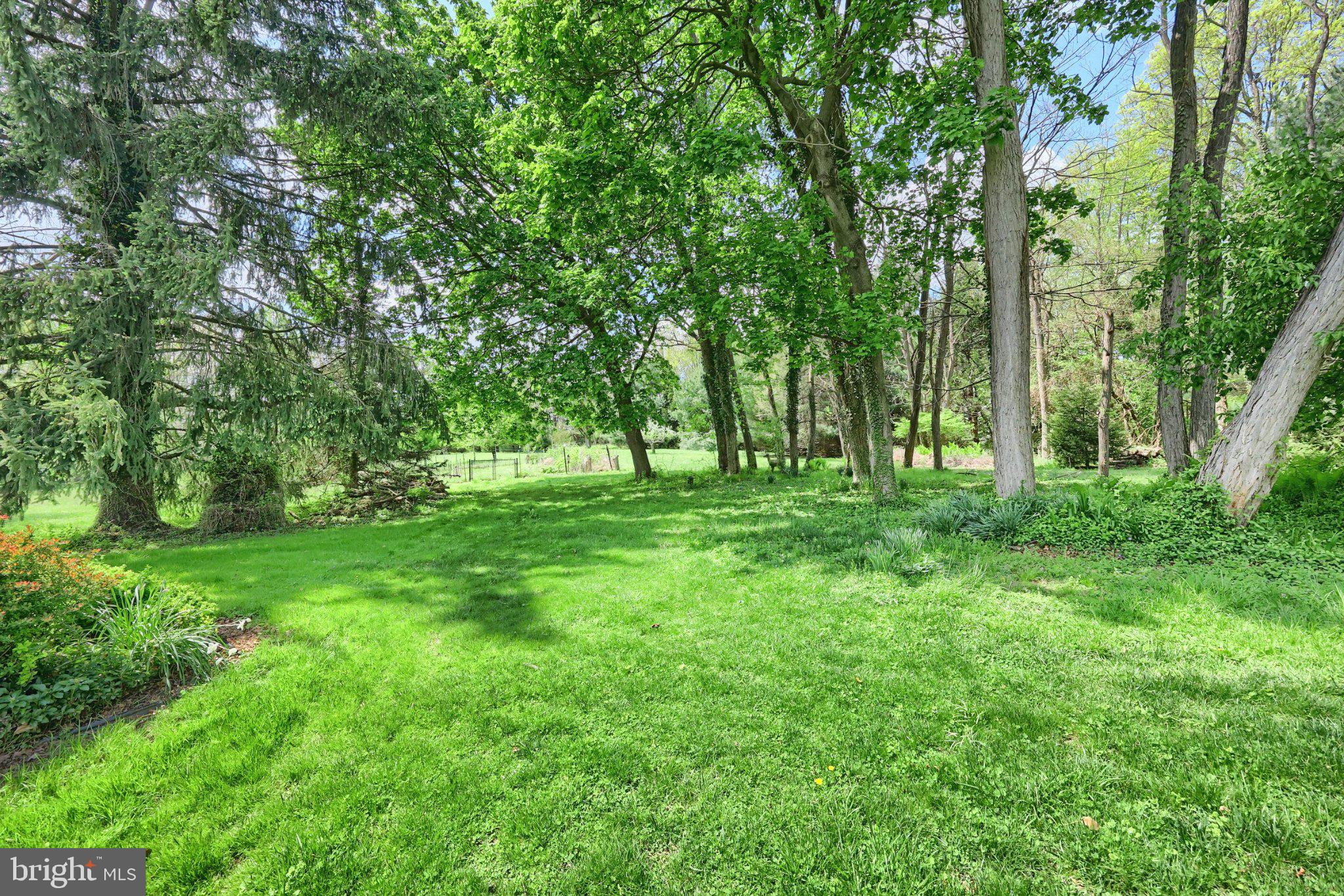 1974 Yingling Drive Spring Grove, PA 17362 - Photo 16 of 69 Lush green oasis under sunny skies.