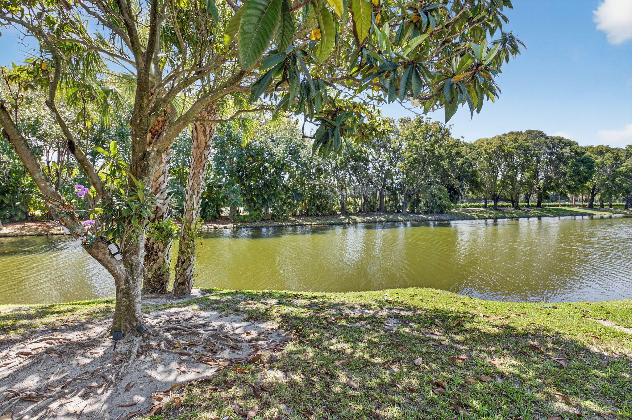 3707 Bridgewood Drive Boca Raton, FL 33434 - Photo 24 of 62 26-web-or-mls-DSC_0740
