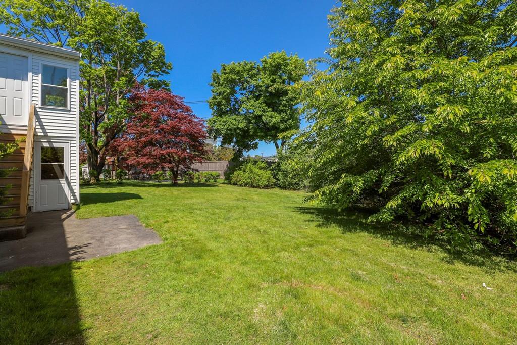 8 David Road Needham, MA 02494 - Photo 32 of 35 a view of yard with green space