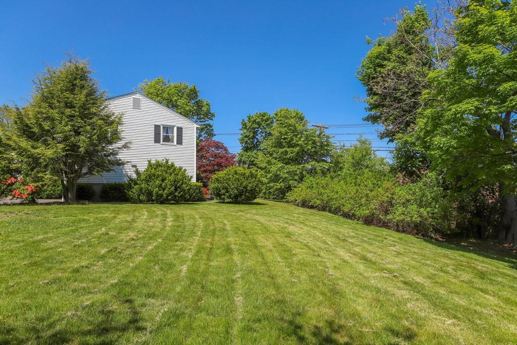 8 David Road Needham, MA 02494 - Photo 35 of 35 a big yard with large trees