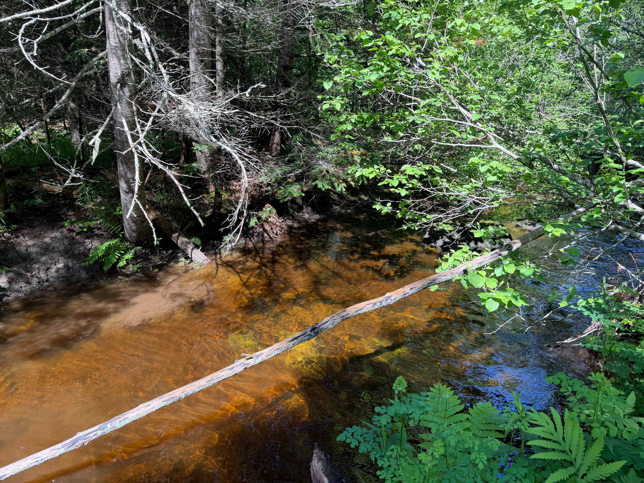 140 East Madrid Road Phillips, ME 04966 - Photo 9 of 20