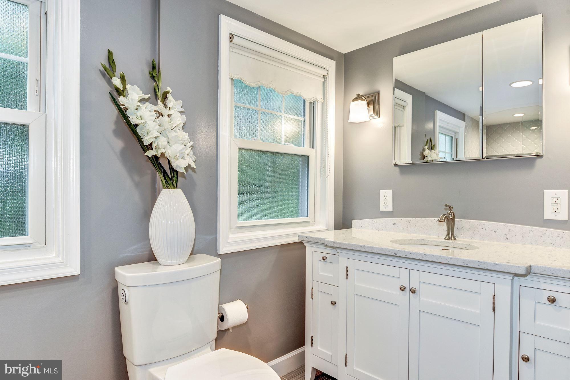 1018 Strout Street Silver Spring, MD 20901 - Photo 13 of 22 Bath (Master)