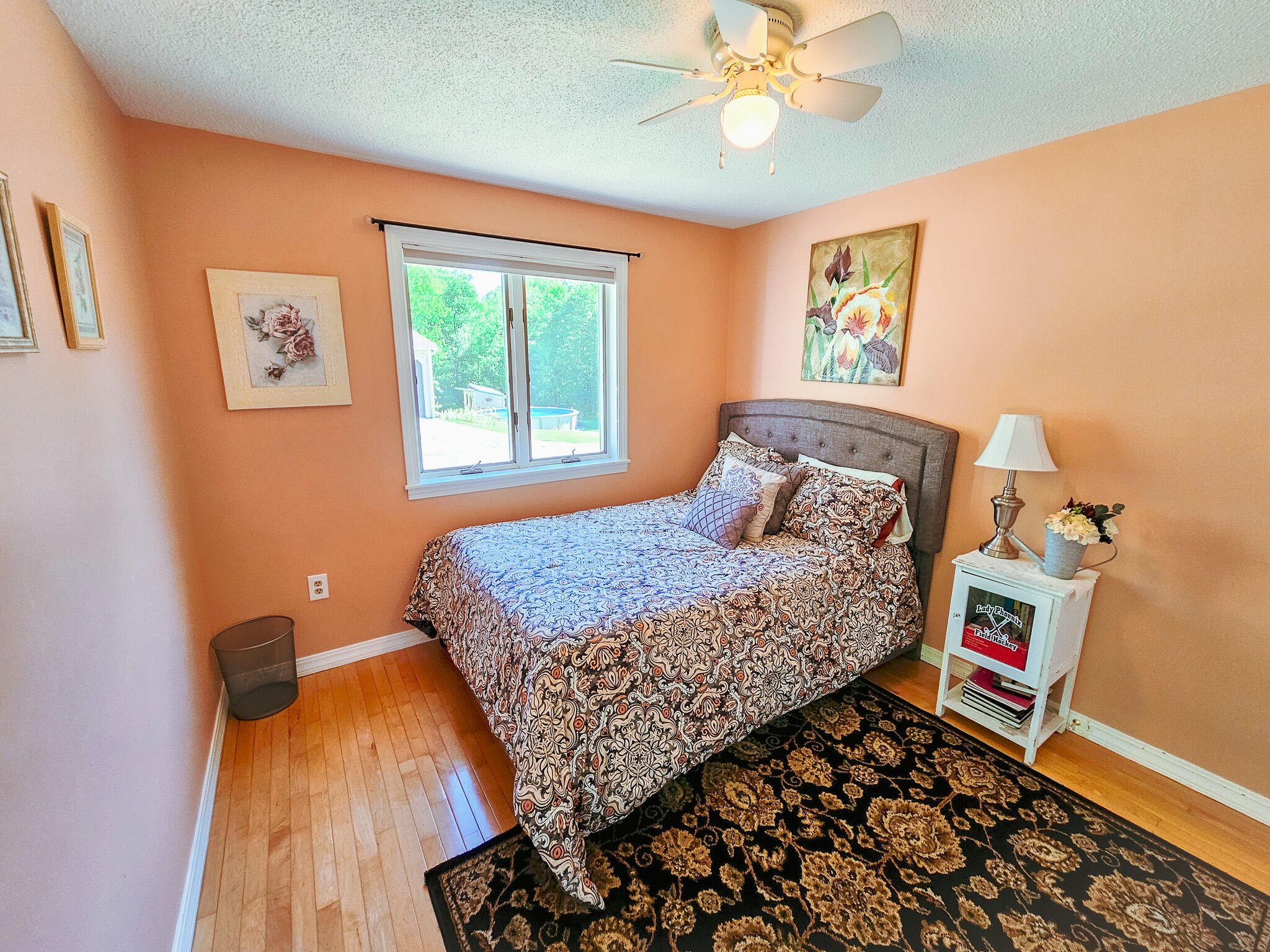 366 Plaisted Road Jay, ME 04239 - Photo 68 of 112 20260907_112111