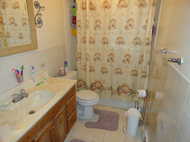 102 Roy Avenue Rochelle, IL 61068 - Photo 7 of 11 a bathroom with a sink toilet and shower