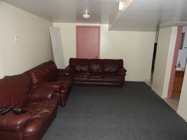 102 Roy Avenue Rochelle, IL 61068 - Photo 8 of 11 a living room with furniture and a couch