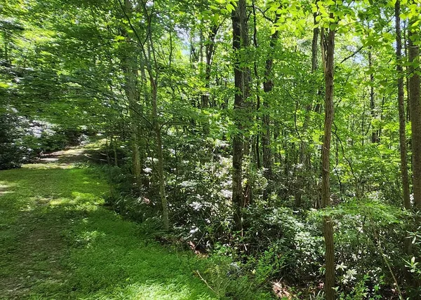 $4,900 | Lot 16 Misty Dawn Trail, Unit 16, Fancy Gap, VA 24328