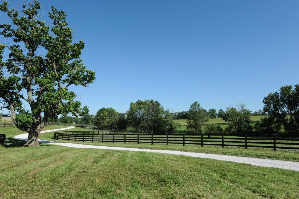 963 Cynthiana Road Paris, KY 40361 - Photo 3 of 21 Photo 3