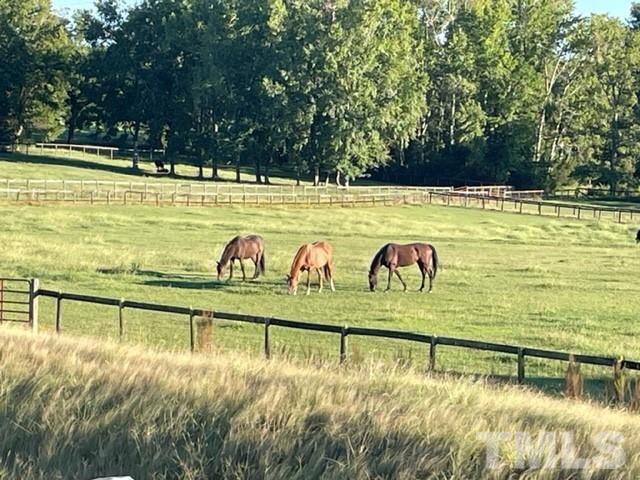 4429 Bridle Run Drive Raleigh, NC 27606 - Photo 11 of 14 a view of swimming pool with outdoor space and seating area