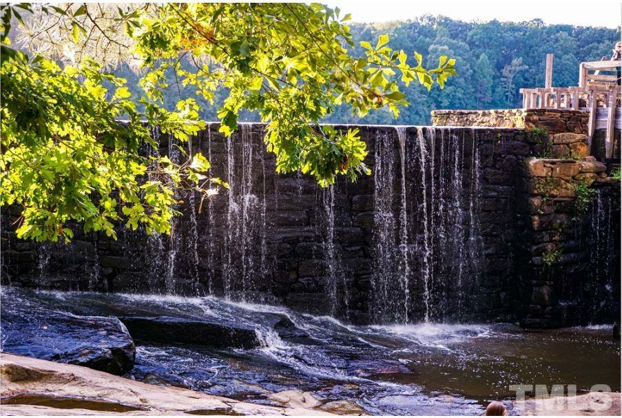 4429 Bridle Run Drive Raleigh, NC 27606 - Photo 12 of 14 a view of a street with a tree