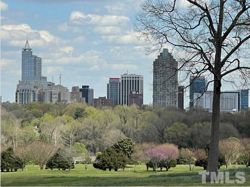 4429 Bridle Run Drive Raleigh, NC 27606 - Photo 13 of 14