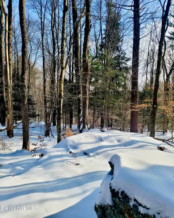 a view of street with tall trees