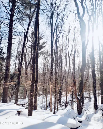 a view of snow on the side of a road