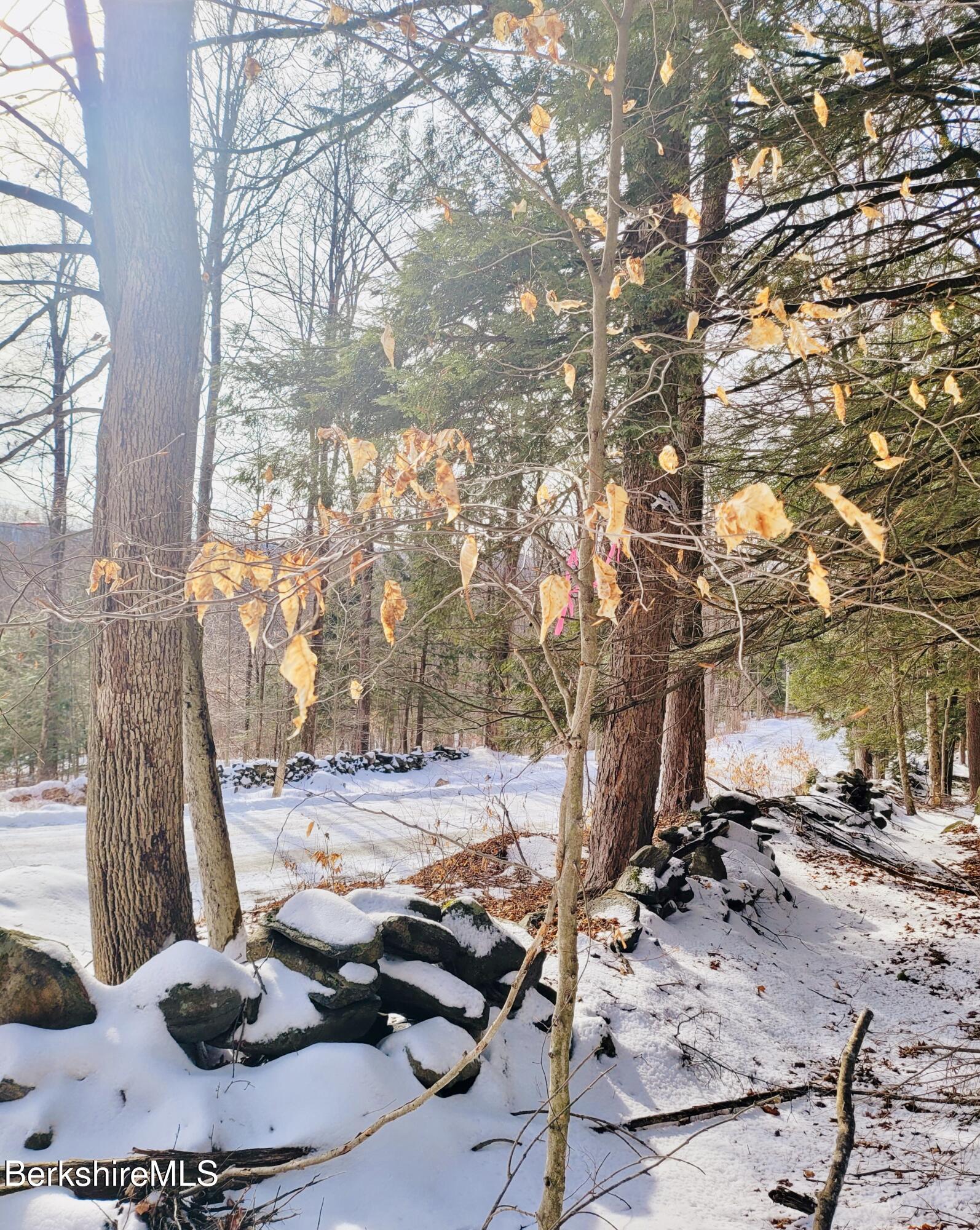 Lot 2 Leland Road Becket, MA 01223 - Photo 10 of 17 Stone walls along Leland Rd