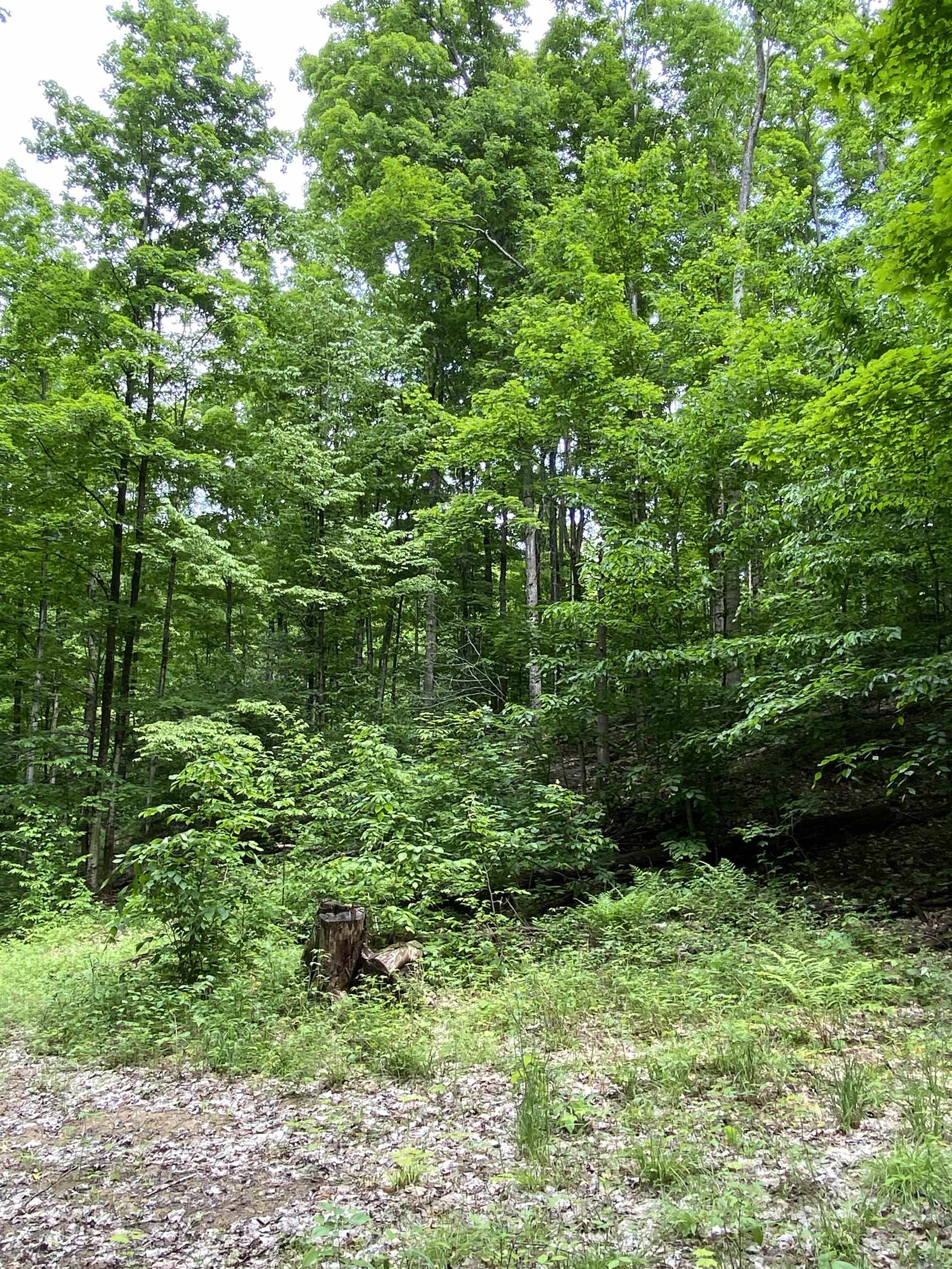 3 Stark Road, Unit LOT: 3 Mancelona, MI 49659 - Photo 18 of 26