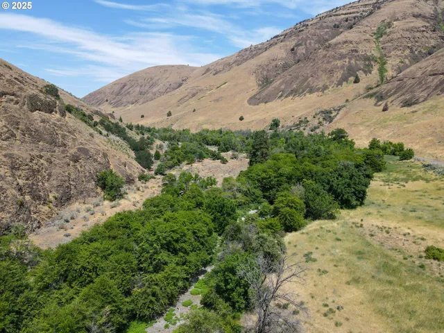 a view of a dry yard with mountains in the background