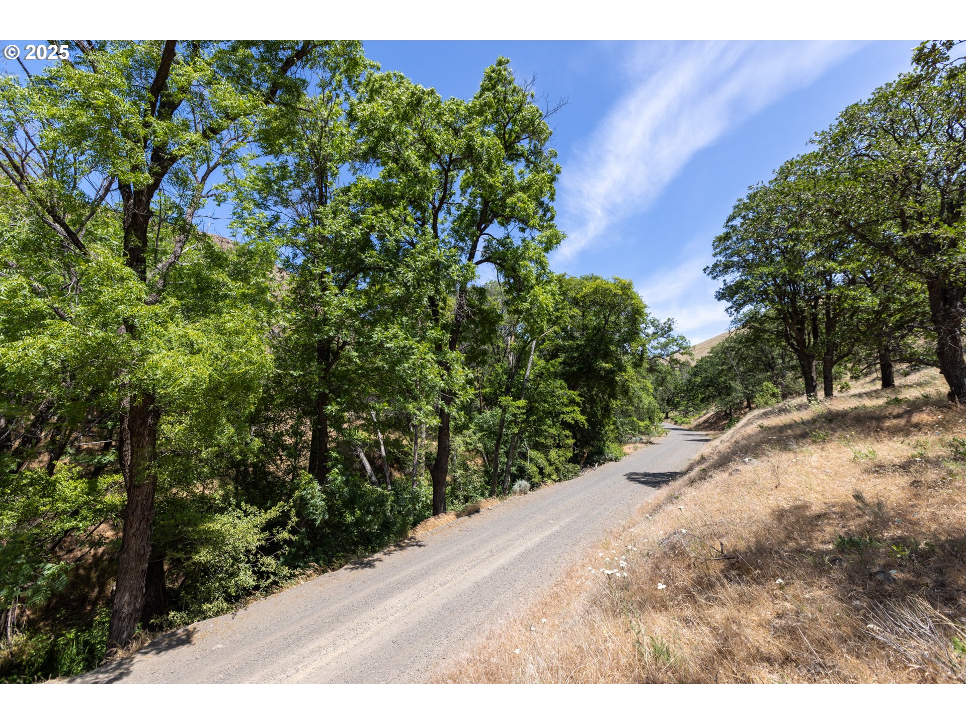 1056 Rock Creek Road Roosevelt, WA 99356 - Photo 13 of 48