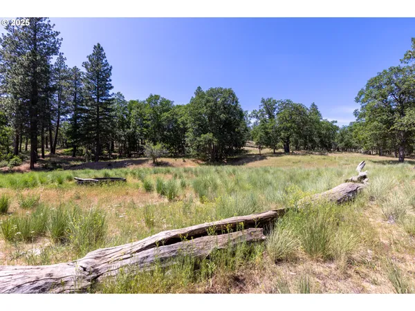 $7,250,000 | 1056 Rock Creek Road, Roosevelt, WA 99356