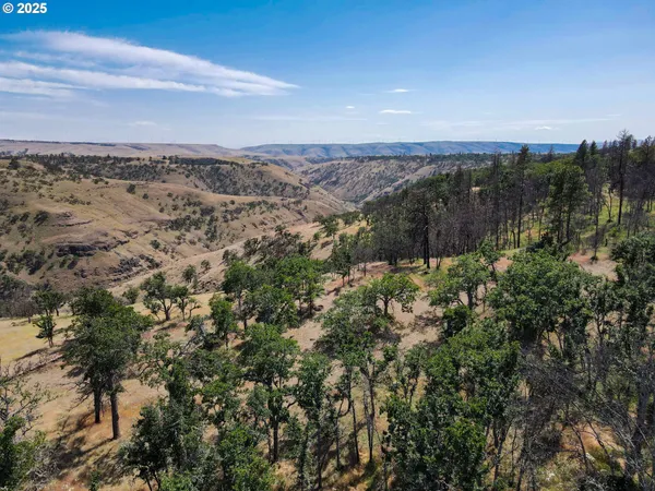 $7,250,000 | 1056 Rock Creek Road, Roosevelt, WA 99356