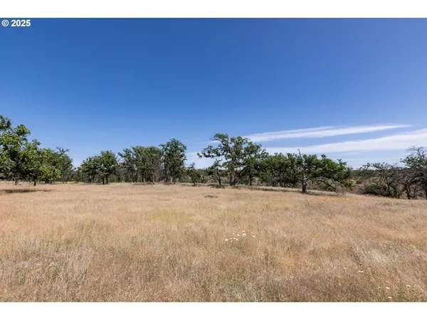 $7,250,000 | 1056 Rock Creek Road, Roosevelt, WA 99356