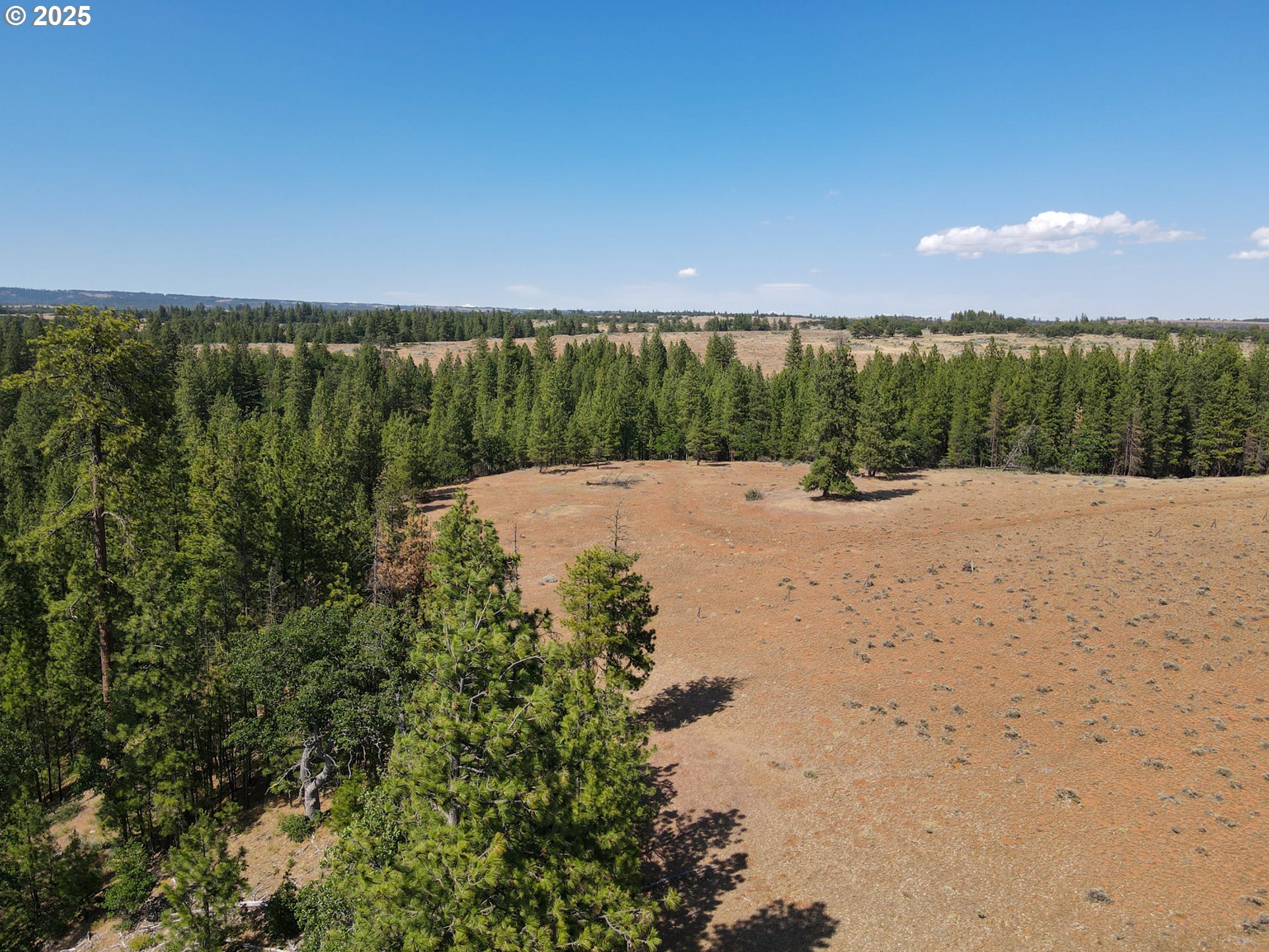 1056 Rock Creek Road Roosevelt, WA 99356 - Photo 22 of 48